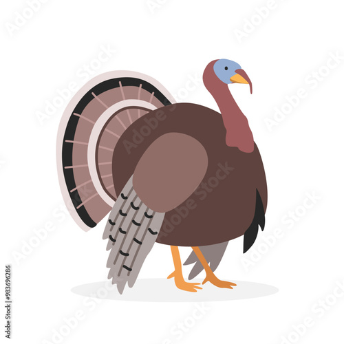 Turkey simple vector illustration. Male turkey or gobbler cartoon clipart, animal in flat style. Farm animals concept, rural farming. Livestock poultry turkey vector design isolated on white