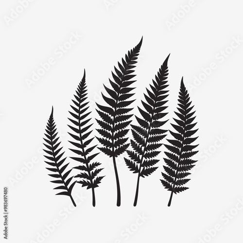Evergreen Leaf Black and White Vector Template Set for Cutting and Printing