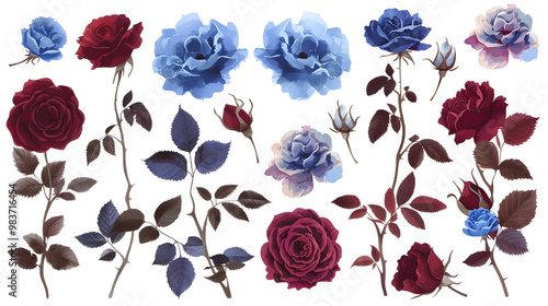 Vibrant Flower Set with Blue Flowers, Pink and Burgundy Roses Twigs , Transparent Background