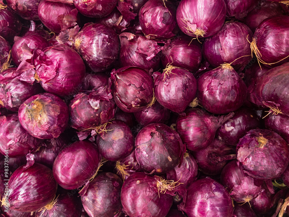 custom made wallpaper toronto digitalRed or purple onions, vegetable