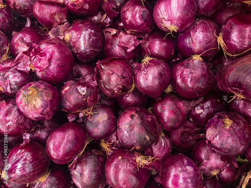 Red or purple onions, vegetable photo