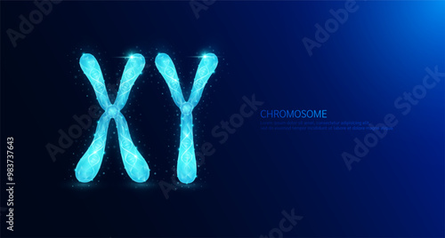XY Chromosome male. DNA gene cell double helix blue glowing polygonal. Genetic synthetic biology combined. Code analysis thymine, adenine, guanine, cytosine. Medical science background vector.