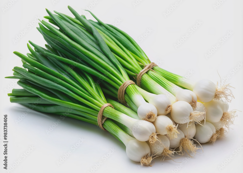 Fresh green spring onions with white bulbs and long green tops, neatly arranged in a bunch, isolated on a clean white background, ready for culinary use. Fresh green spring onions with white bulbs and long green tops, neatly arranged in a bunch, isolated on a clean white background, ready for culinary use.