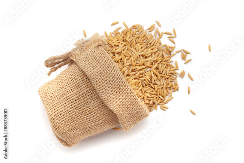 Close-up of Organic Rice with Bran (Oryza sativa) or Dhaan, spilled out from a laying jute bag. Isolated on a white background. photo