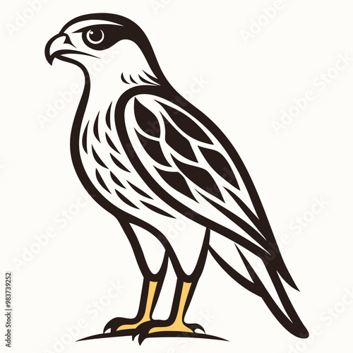 Cooper Hawk animal vector illustration