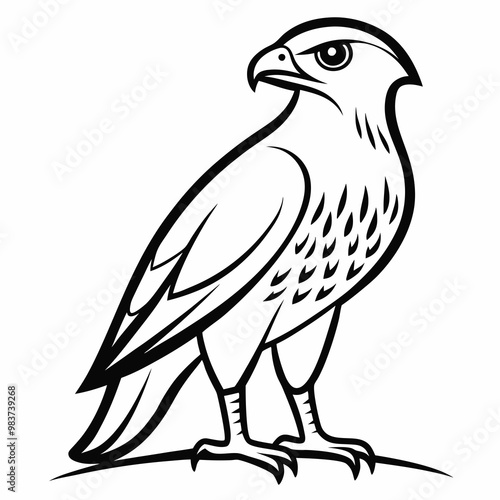 Cooper Hawk animal vector illustration