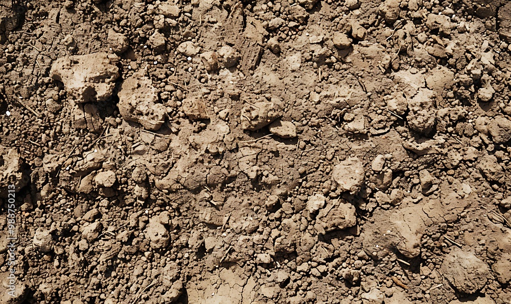 Background of dry cracked earth. Texture of dry cracked earth. Abstract background for design.