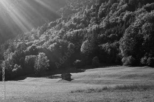 lonely monochrom woodside cabin in a high altitude in the first morning light in the alps photo