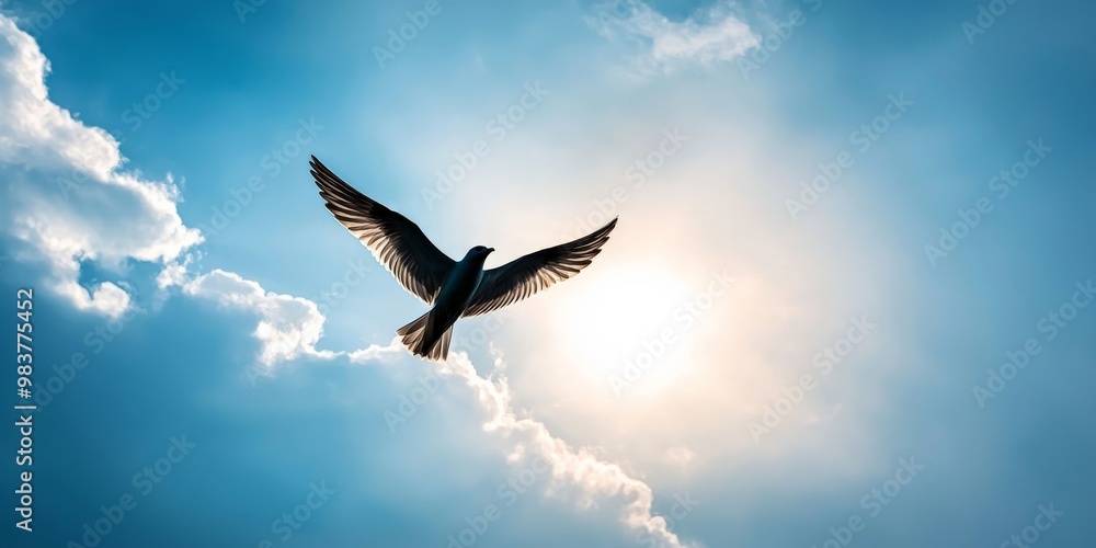 Obraz premium A bird soaring freely through the sky, its wings fully spread against a backdrop of fluffy clouds and blue sky