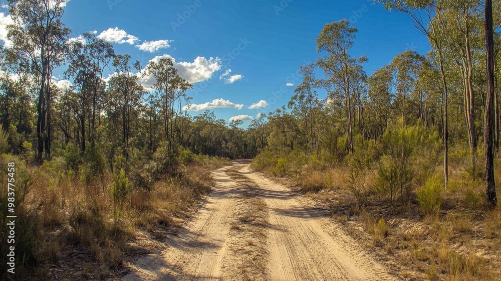 A sandy off-road trail winds through the forest, surrounded by tall trees and rugged outback wilderness under a bright blue sky A sandy off-road trail winds through the forest, surrounded by tall trees and rugged outback wilderness under a bright blue sky
