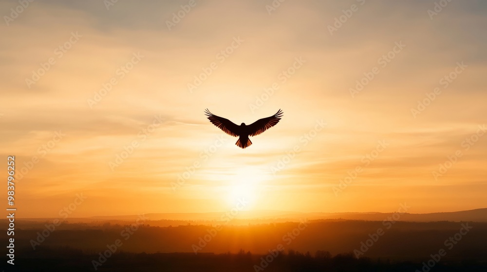 Fototapeta premium A lone bird flying high over an open landscape, its silhouette framed by the golden light of the setting sun