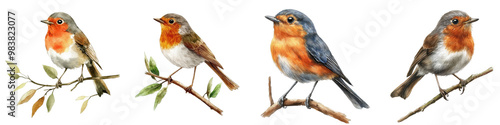 Colorful Garden Birds Perching on Tree Branches in Spring of Vibrant Songbirds Like Robins Finches and Warblers Resting on Twigs in a Lush Outdoor Nature Scene