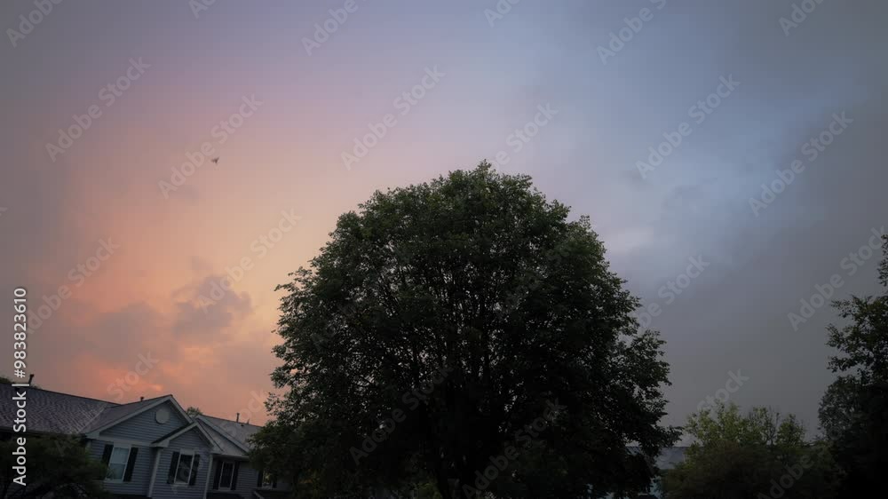 Lightning flashing through tree on the street in the suburbs and colorful sky at evening time. Wide view shot Lightning flashing through tree on the street in the suburbs and colorful sky at evening time. Wide view shot