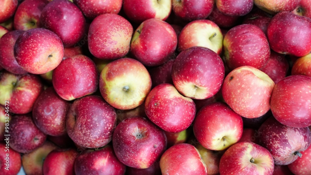 Close Up of Red Apples in a Bin Close Up of Red Apples in a Bin