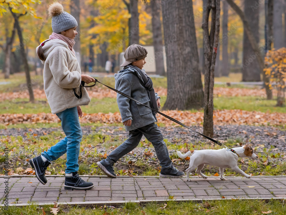 Brother and sister walk the dog in the park in autumn. Boy and girl running with jack russell terrier on a leash. Brother and sister walk the dog in the park in autumn. Boy and girl running with jack russell terrier on a leash.