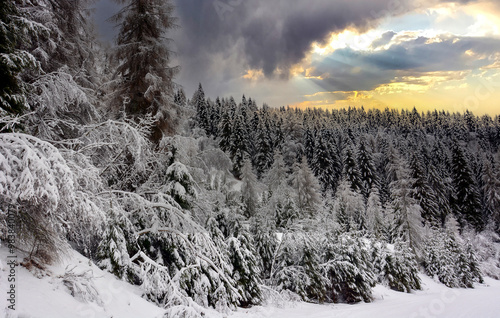 the sun rises at dawn over the mountains after a heavy snowfall in the forests