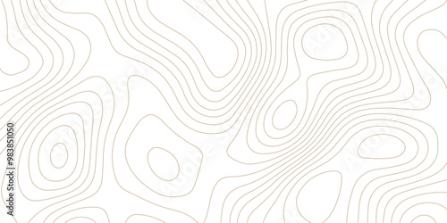 Abstract wave paper curved reliefs background .gradient multicolor wave curve lines banner background design .topographic contours map background .Vector geographic contour map.	