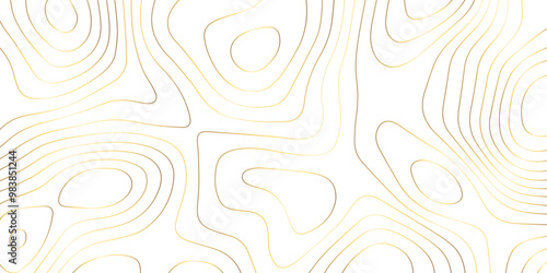 Abstract wave paper curved reliefs background .gradient multicolor wave curve lines banner background design .topographic contours map background .Vector geographic contour map.	