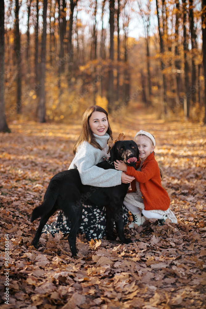 Fototapeta premium The woman, dressed in a gray sweater and her daughter with braids are playing with the dog in the autumn forest. Black dog in the foreground.