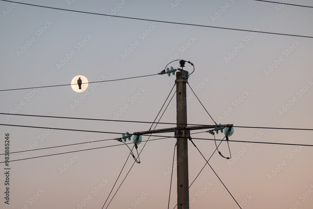 Concrete power line pole against the morning sky. A bird sits on an electric wire against the background of a round moon. Background.