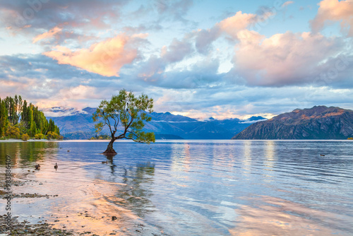 Wanaka, New Zealand - Lake Wanaka, at sunset, and the world famous tree which stands near the shore. photo