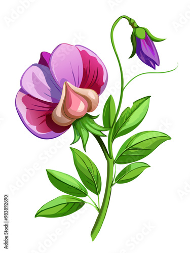 Elegant Sweet Pea Flower Illustration - Soft Pink and Red Petals with Lush Green Leaves, Ideal for Romantic and Spring Themes, Sweet Pea Flower vector Illustration, Sweet Pea vector Illustration