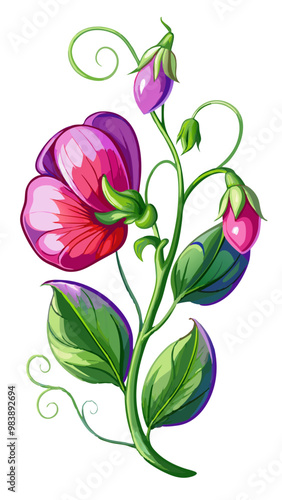 Elegant Sweet Pea Flower Illustration - Soft Pink and Red Petals with Lush Green Leaves, Ideal for Romantic and Spring Themes, Sweet Pea Flower vector Illustration, Sweet Pea vector Illustration