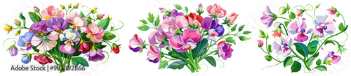 Elegant Sweet Pea Flower Illustration - Soft Pink and Red Petals with Lush Green Leaves, Ideal for Romantic and Spring Themes, Sweet Pea Flower vector Illustration, Sweet Pea vector Illustration