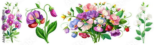 Elegant Sweet Pea Flower Illustration - Soft Pink and Red Petals with Lush Green Leaves, Ideal for Romantic and Spring Themes, Sweet Pea Flower vector Illustration, Sweet Pea vector Illustration