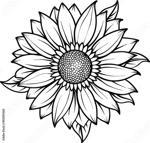 black sunflower line art vector illustration silhouette, Print