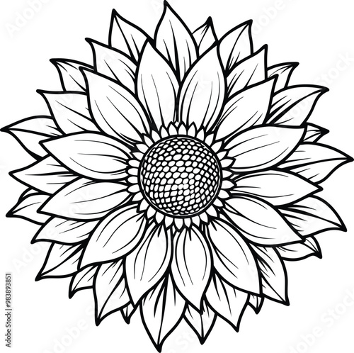 black sunflower line art vector illustration silhouette, Print