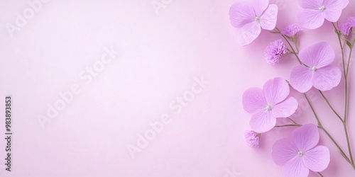 Beautiful delicate purple flowers on a purple background with copy space