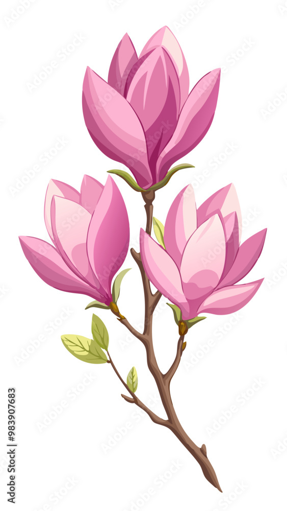 Elegant Magnolia Flower Illustration - Soft Pink Petals with a Touch of White, Ideal for Spring Themes and Botanical Art, Magnolia Flower Vector, Magnolia Vector Illustration
Elegant Magnolia Flower Illustration - Soft Pink Petals with a Touch of White, Ideal for Spring Themes and Botanical Art, Magnolia Flower Vector, Magnolia Vector Illustration
