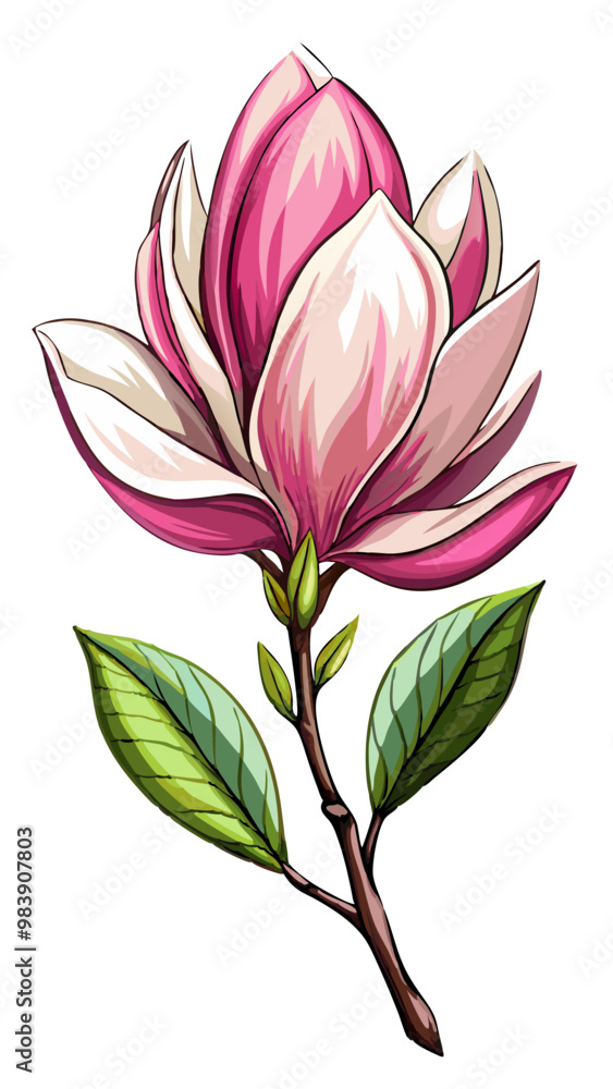 Elegant Magnolia Flower Illustration - Soft Pink Petals with a Touch of White, Ideal for Spring Themes and Botanical Art, Magnolia Flower Vector, Magnolia Vector Illustration
Elegant Magnolia Flower Illustration - Soft Pink Petals with a Touch of White, Ideal for Spring Themes and Botanical Art, Magnolia Flower Vector, Magnolia Vector Illustration