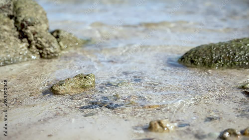 Crystal clear water gently flows over rocks and beach sand on a sunny day by the ocean, waves creating foam along the shore in a serene seascape perfect for a tropical vacation or summer holiday Crystal clear water gently flows over rocks and beach sand on a sunny day by the ocean, waves creating foam along the shore in a serene seascape perfect for a tropical vacation or summer holiday