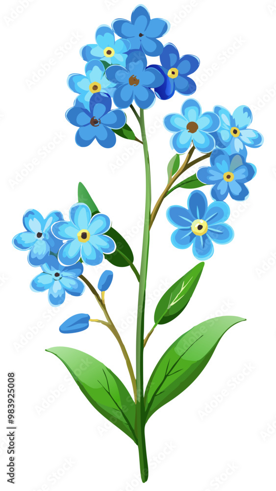 Fototapeta premium Charming Forget-Me-Not Flower Illustration - Delicate Blue Blooms with Yellow Centers, Perfect for Spring and Botanical Art, Forget-Me-Not Vector Illustration, Forget-Me-Not Flower Vector