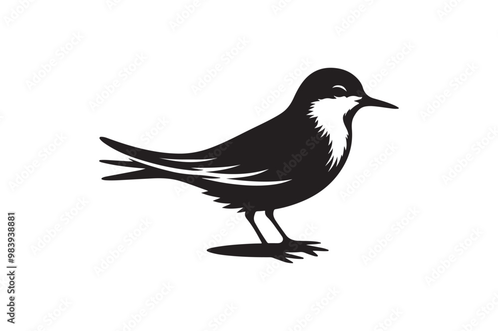 Fototapeta premium Tailor bird vector art and illustration