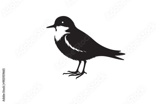 Tailor bird vector art and illustration photo