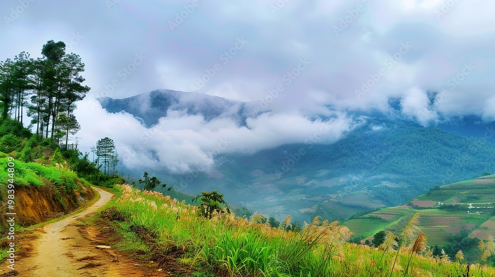 snapseed_background_beautiful_nature snapseed_background_beautiful_nature