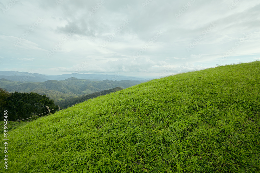 mountain view at Galyani Vadhana district. mountain view at Galyani Vadhana district.