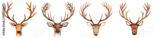 Four decorative deer head illustrations with antlers on a white isolated background. photo