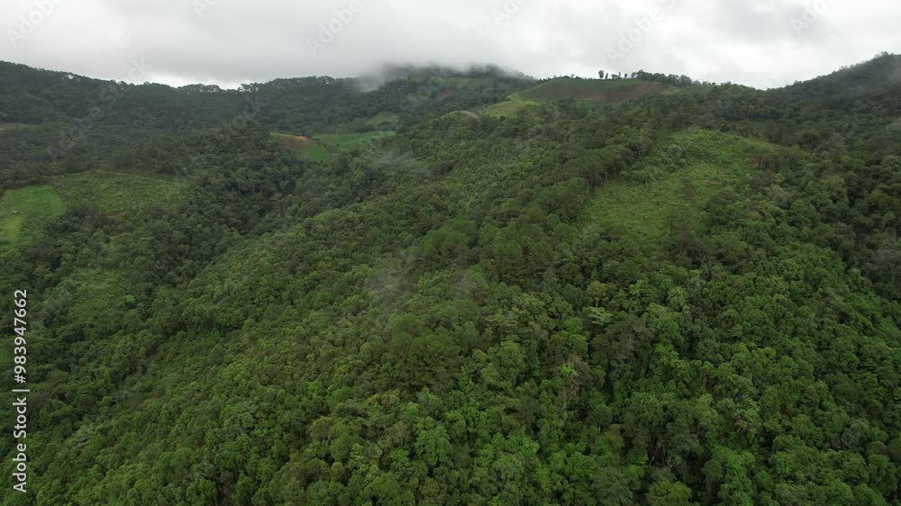 Aerial landscape view of greenery rainforest and hills on foggy day by drone Aerial landscape view of greenery rainforest and hills on foggy day by drone