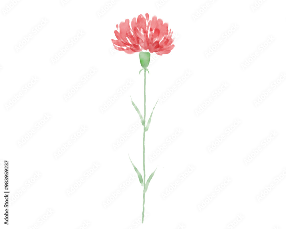 水彩の赤いカーネーションのイラスト 手描き 水彩画 水彩の赤いカーネーションのイラスト 手描き 水彩画