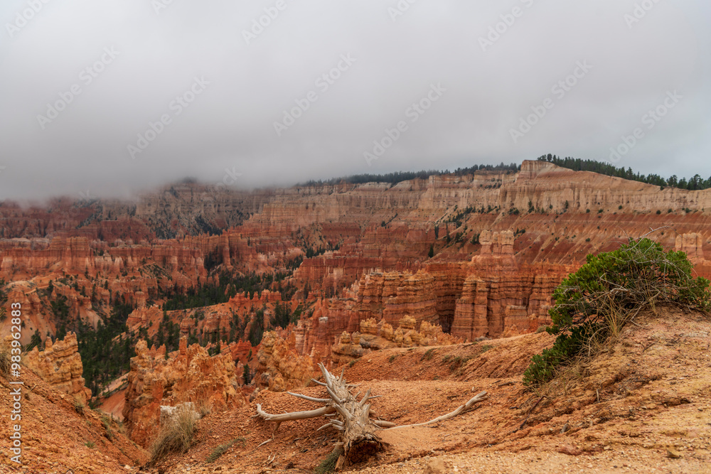 Fototapeta premium Bryce Canyon National Park