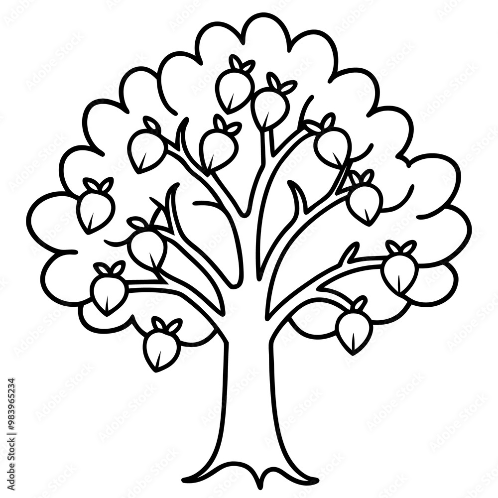 Obraz premium oak acorns doodle outline coloring book page line art drawing