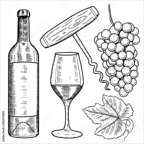 Set with a bottle of wine, glass, grapes, corkscrew. Vector illustration