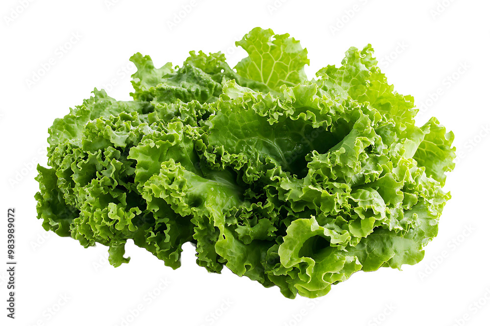 Green lettuce isolated on transparent background. Green lettuce isolated on transparent background.