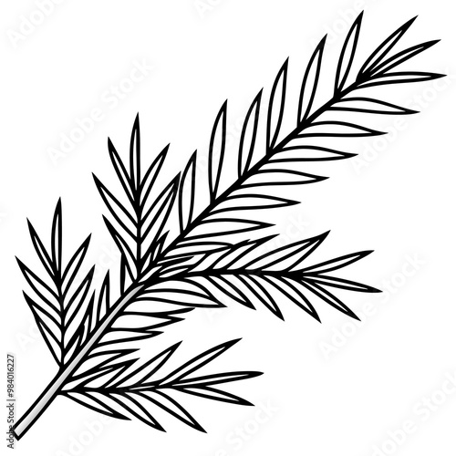 spruce branch outline coloring book page line art drawing