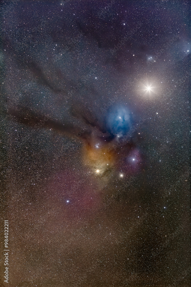 Fototapeta premium さそり座