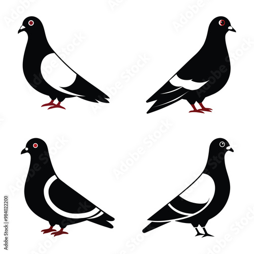 Pigeon set .Adobe Illustrator Artwork.in white  background 